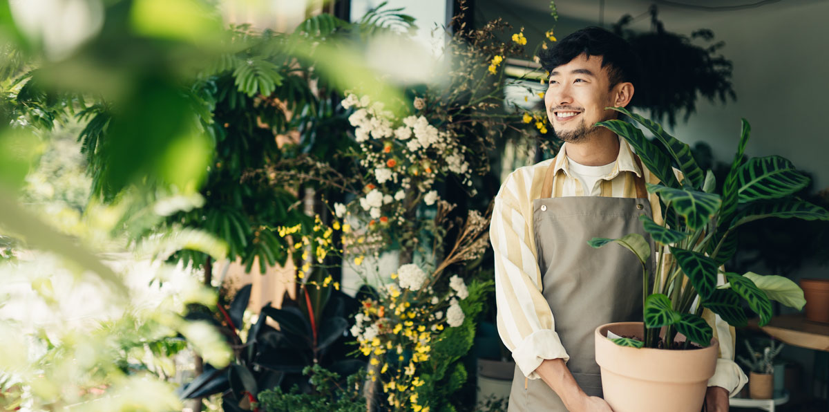 Gag Clause Attestation Guidance Released IMA Financial Group